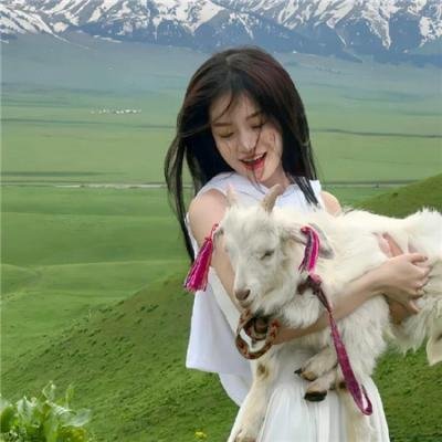 忍者龟：变种新任务